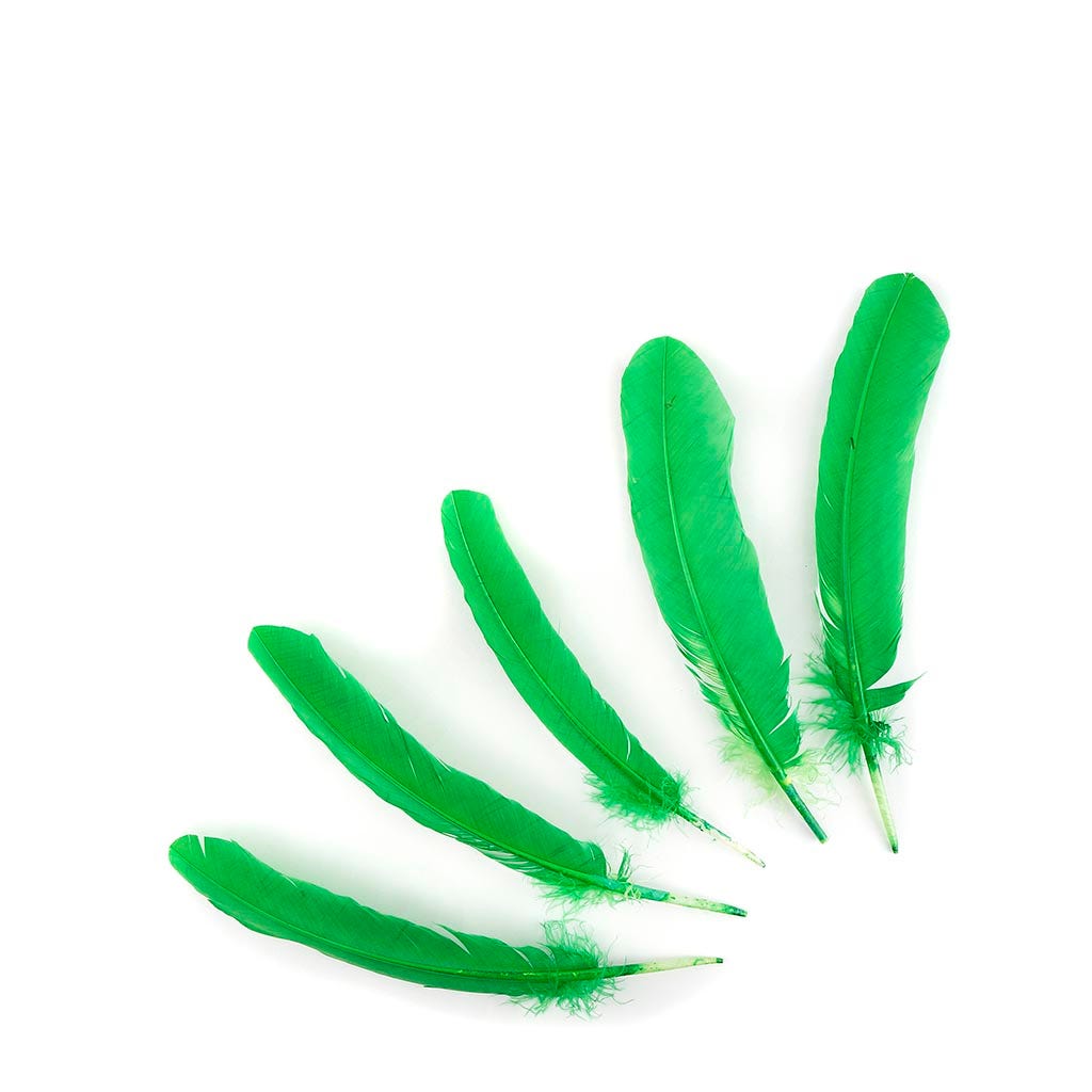 Turkey Quills Selected - Kelly