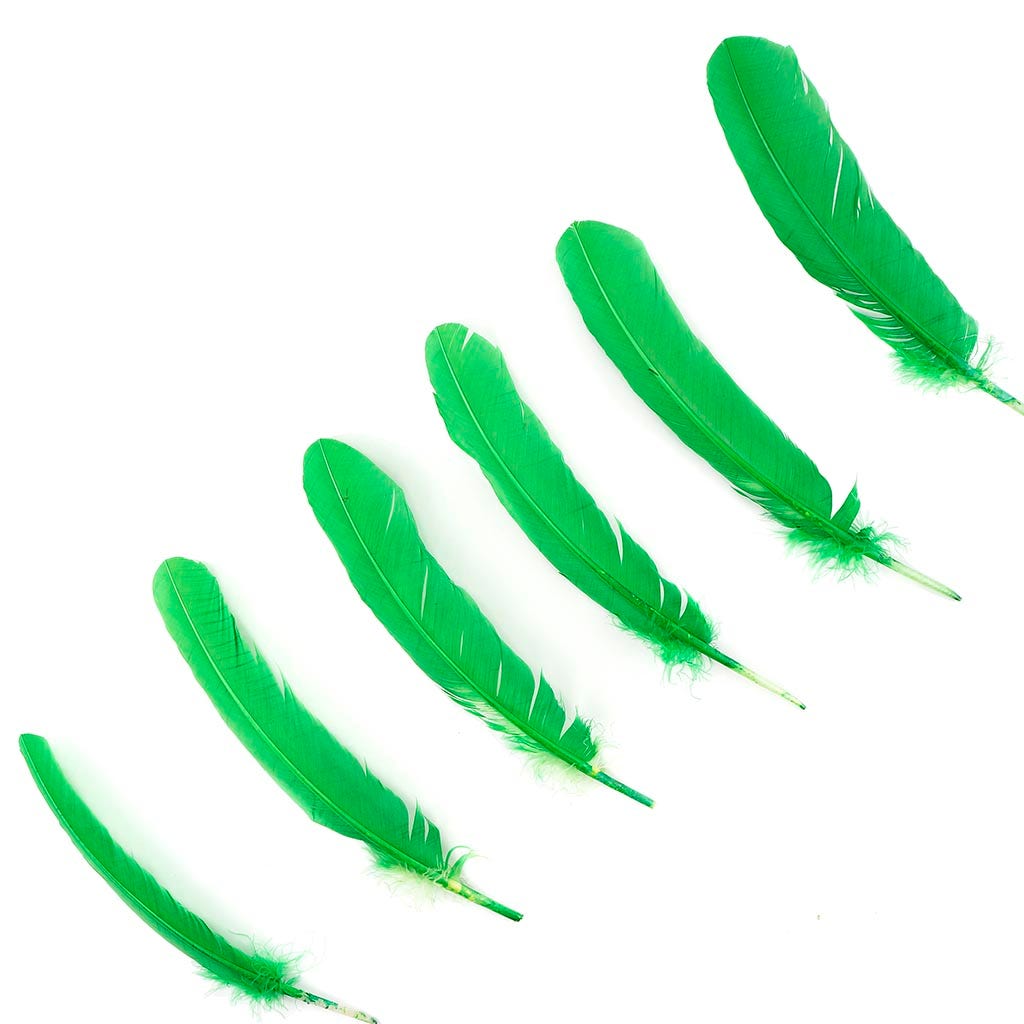 Turkey Quills Selected - Kelly