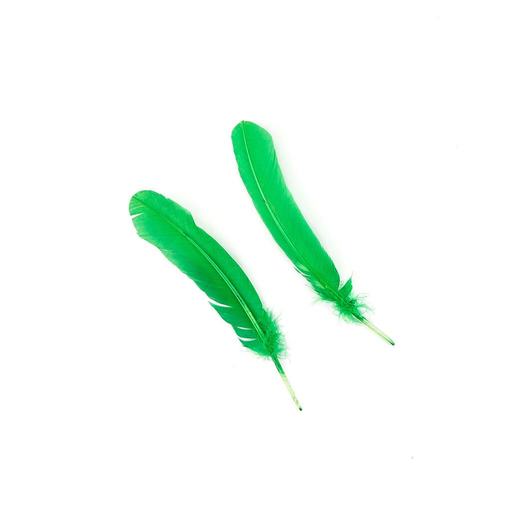 Turkey Quills Selected - Kelly