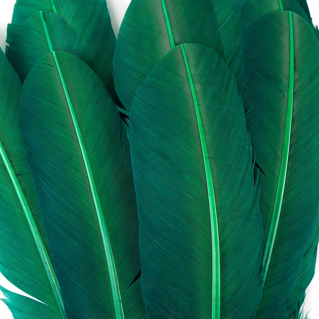 Turkey Quills by Pound - Left Wing - Hunter Green