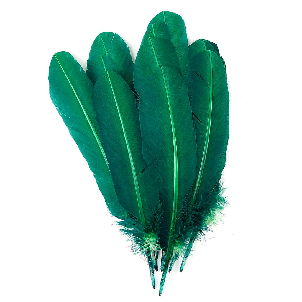 Turkey Quills by Pound - Left Wing - Hunter Green