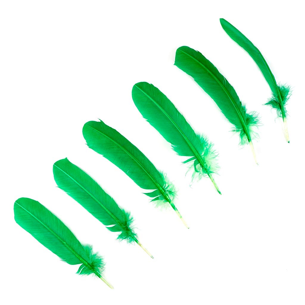 Turkey Quills by Pound - Left Wing - Kelly