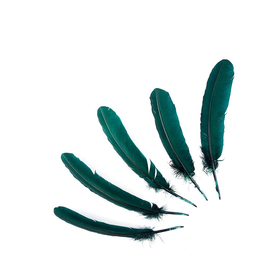 Turkey Quills by Pound - Right Wing - Hunter Green