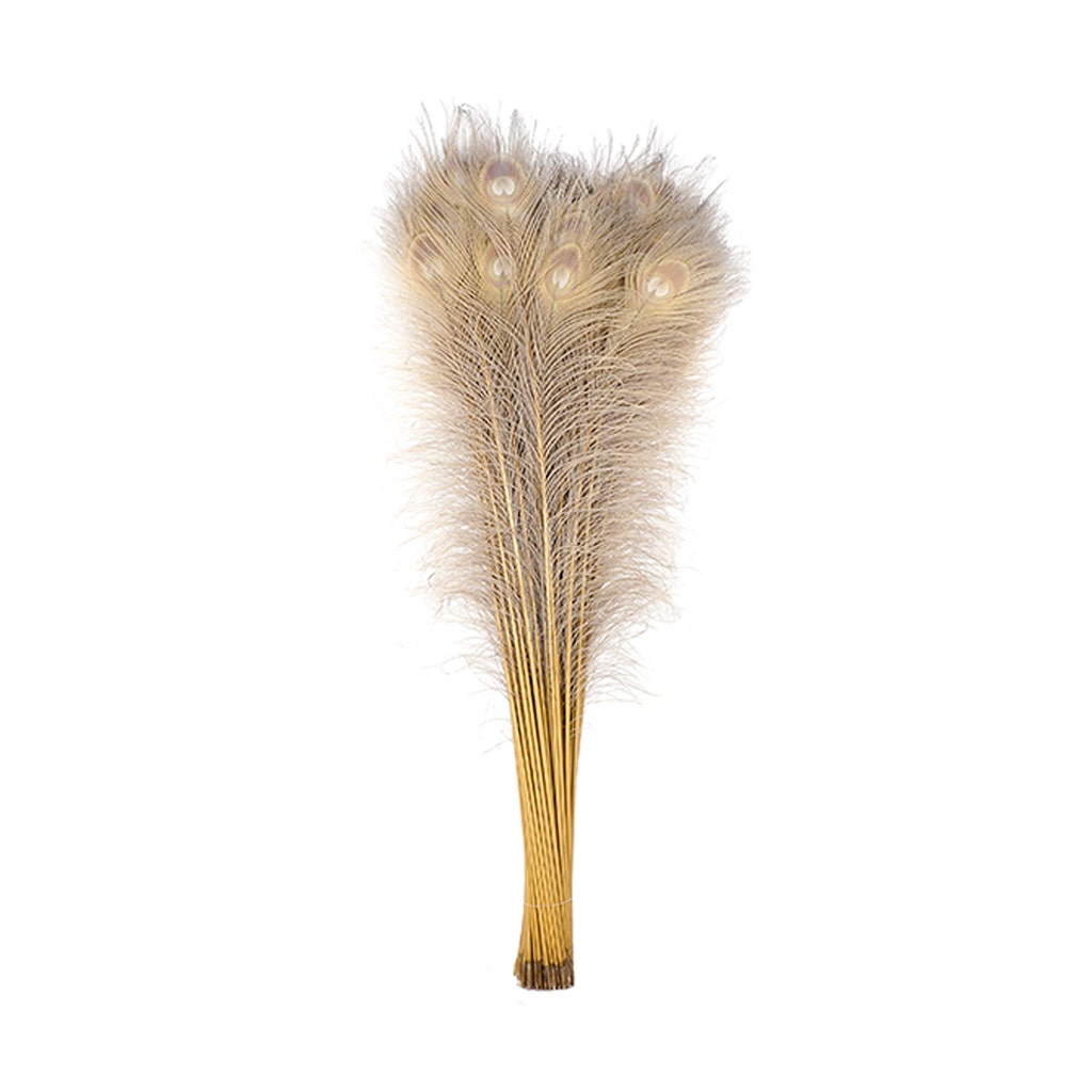Peacock Tail Eyes Bleached Dyed - Iris