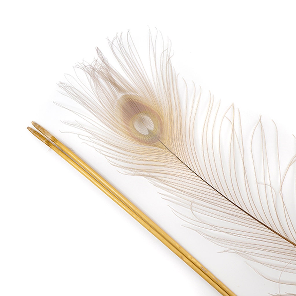 Peacock Eyes Bleached/Dyed - Iris 30-40" - 10 PC