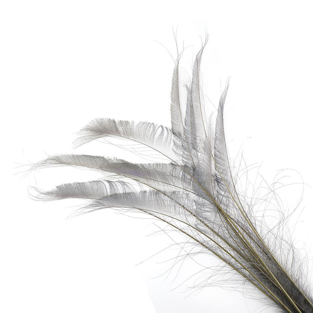Peacock Swords Bleached Dyed - Iris