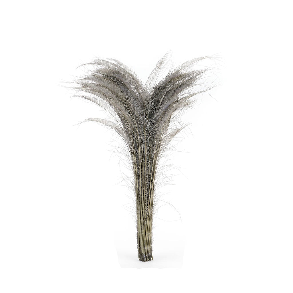 Peacock Swords Bleached Dyed - Iris