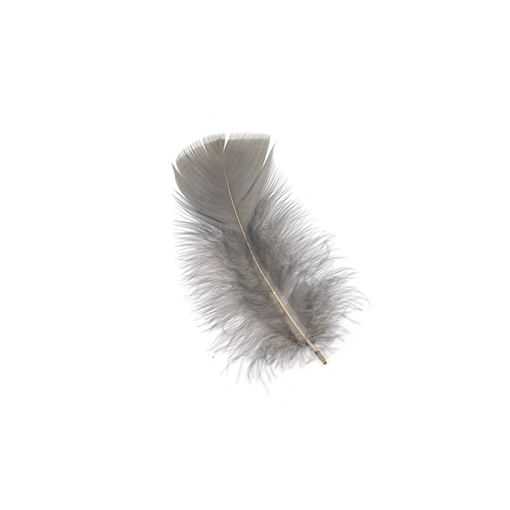 Loose Turkey Plumage Feathers 3-5" - Grey