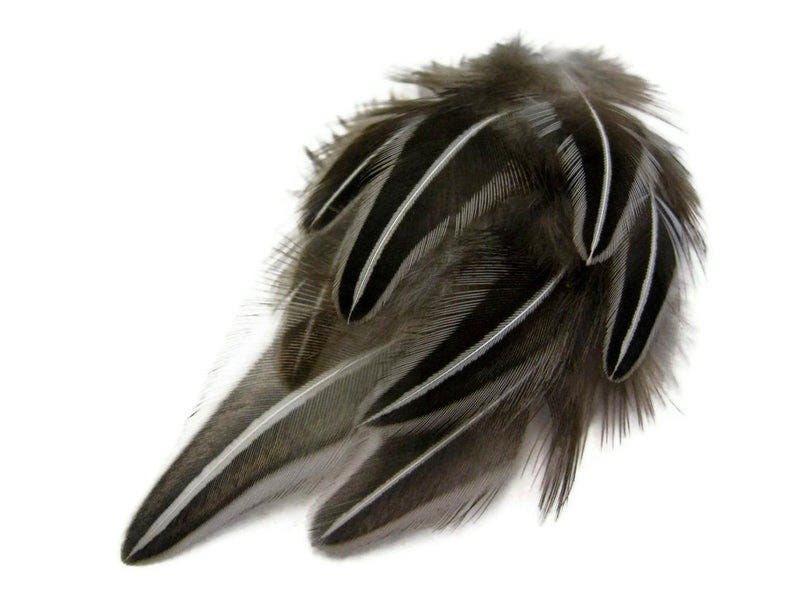Jungle Cock Natural Black and White Plum Loose 1-3" 10 PC/PKG