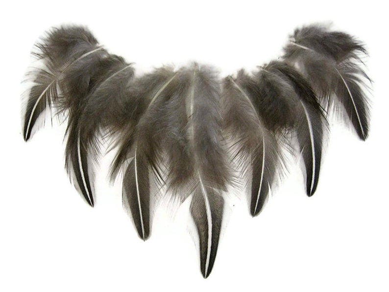 Jungle Cock Natural Black and White Plum Loose 1-3" 10 PC/PKG