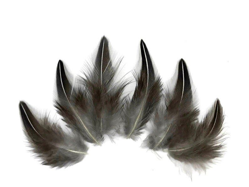 Jungle Cock Natural Black and White Plum Loose 1-3" 10 PC/PKG