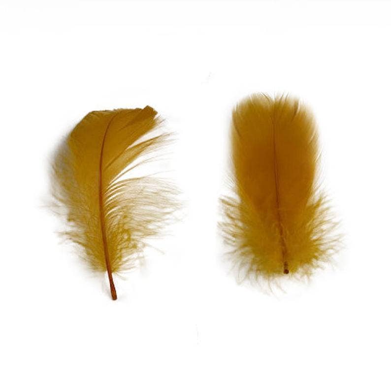 Goose Nagoire Loose Feathers 4-6" - Antique Gold