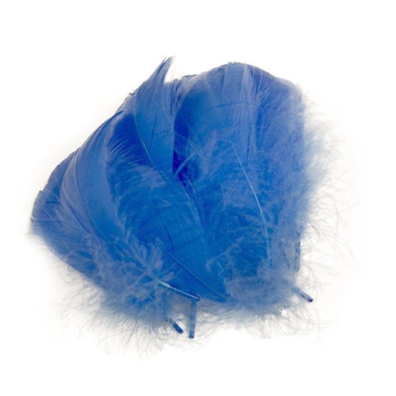 Goose Nagoire Loose Feathers 4-6" - Sky
