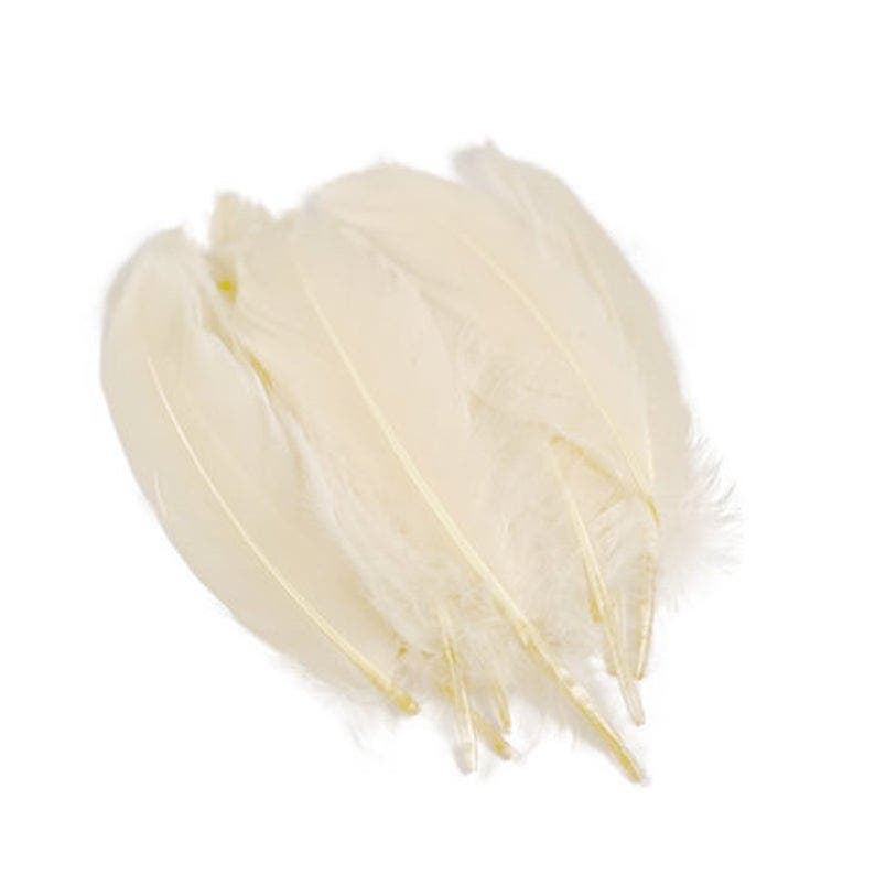 Goose Pallets Loose 6-8" 12 PC/PKG - Ivory