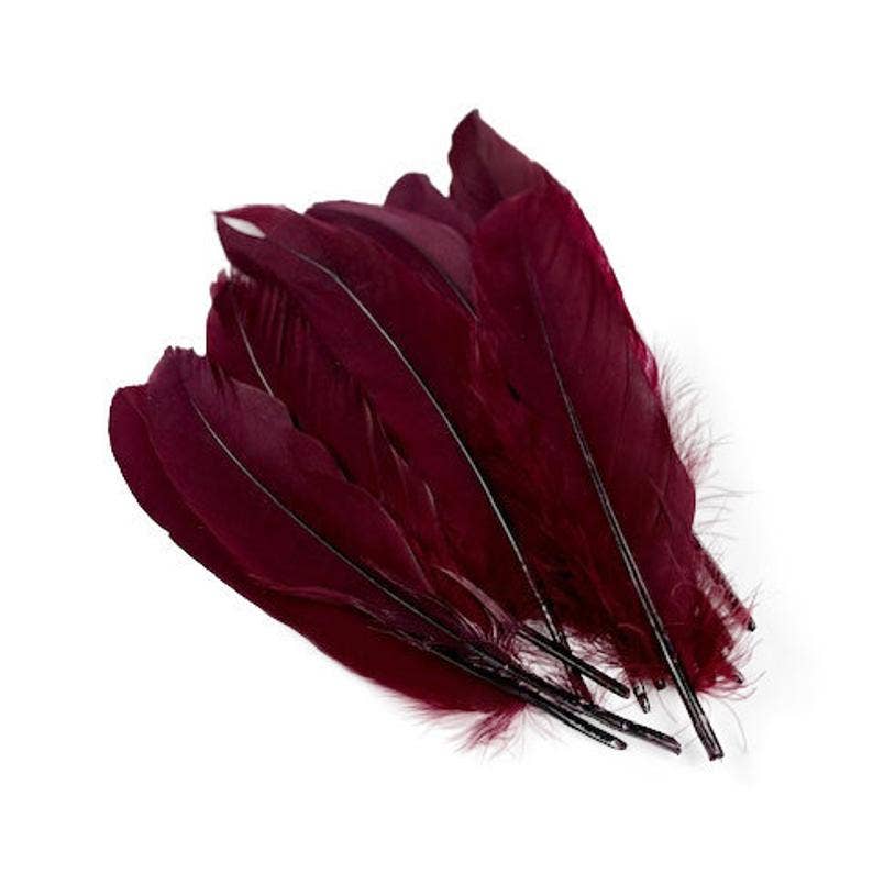 Goose Pallets Loose Feathers 6-8 Inch 1/4 LB - Burgundy