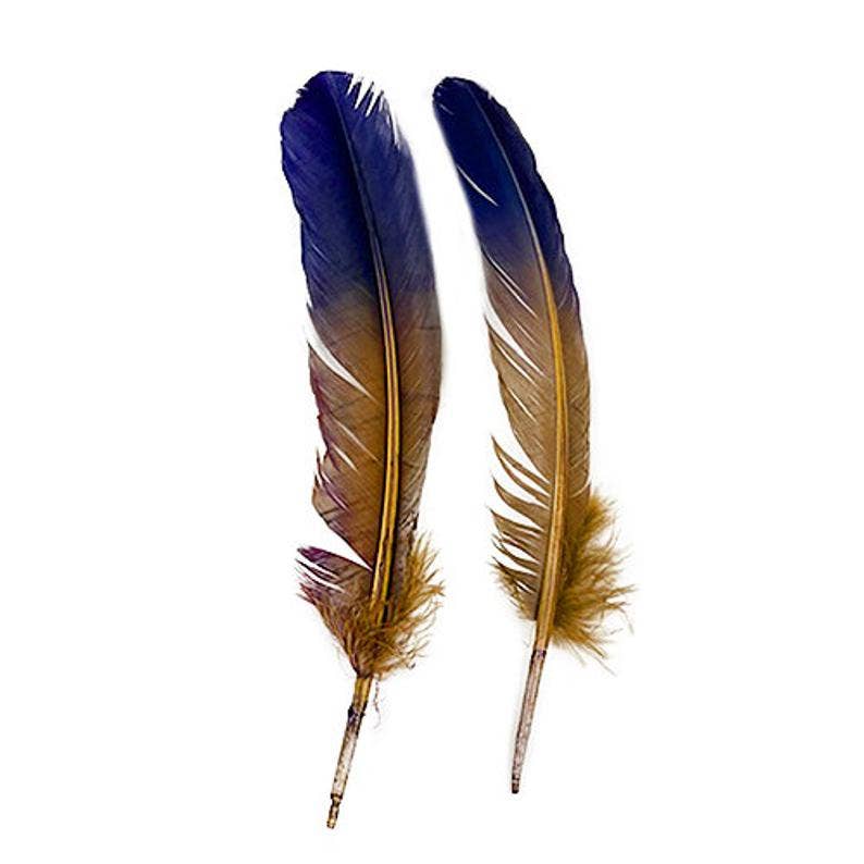 Bulk Two Tone Ombre Tipped Turkey Round Feathers Left Wing - 10-12” - 1/4 lb - Navy Camel