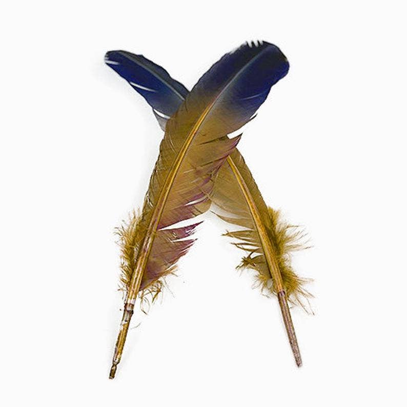 Bulk Two Tone Ombre Tipped Turkey Round Feathers Left Wing - 10-12” - 1/4 lb - Navy Camel