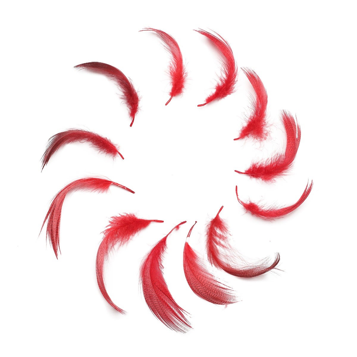 Duck Plumage Mallard Feathers - Red