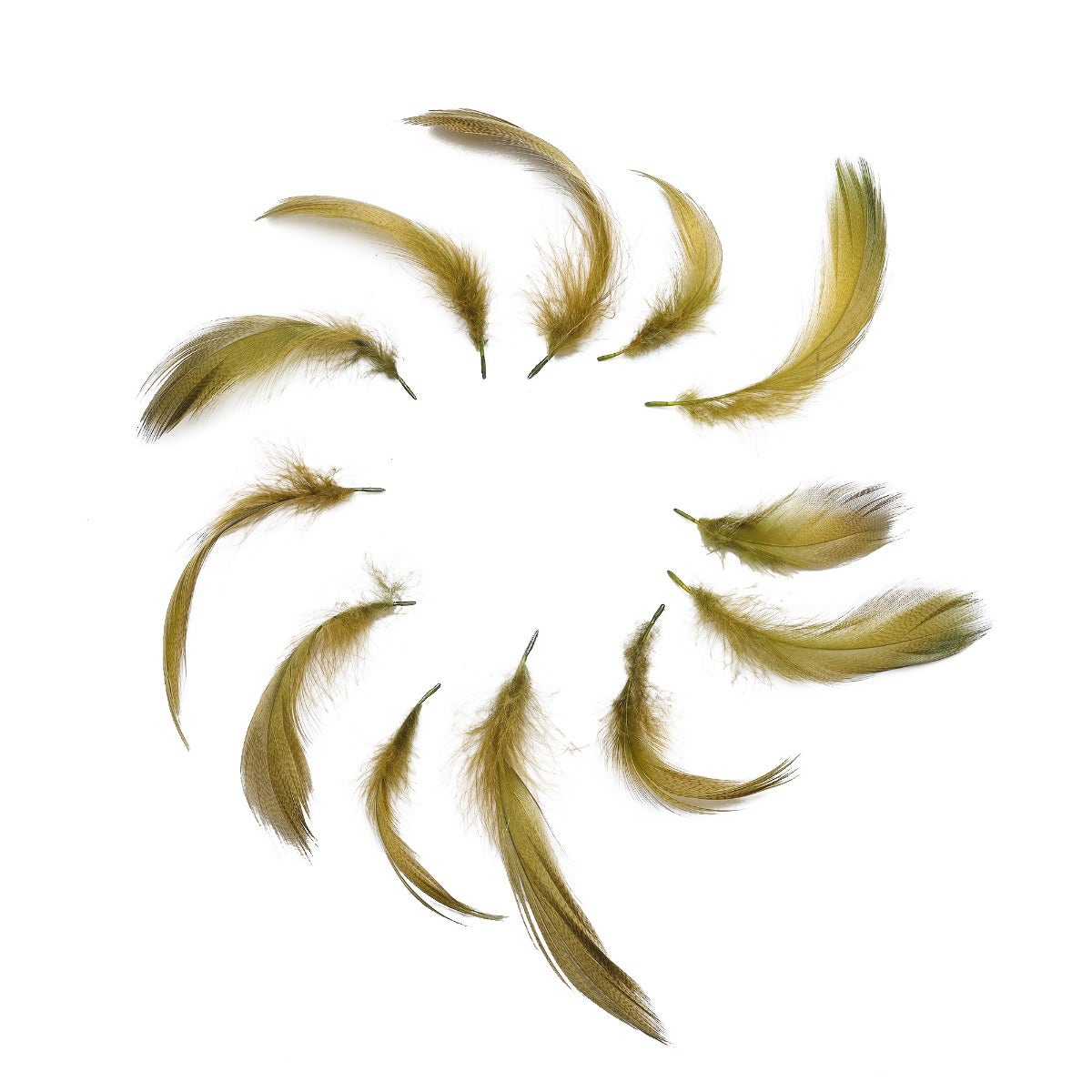 Duck Plumage Mallard Feathers - Olive