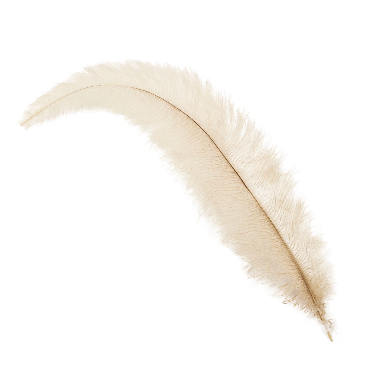 Ostrich Feathers-Floss - Natural Tonals