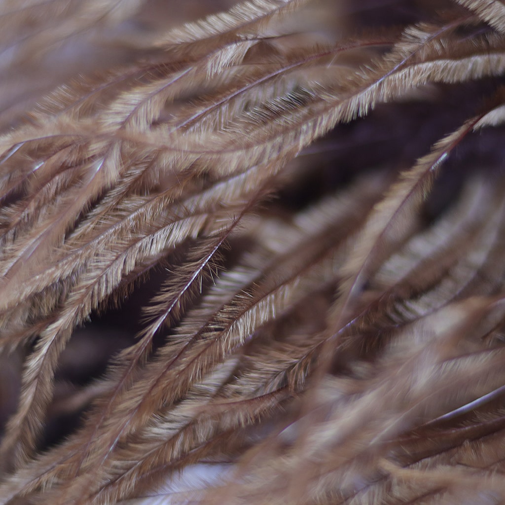 Brown 2 Ply Ostrich Feather Boa