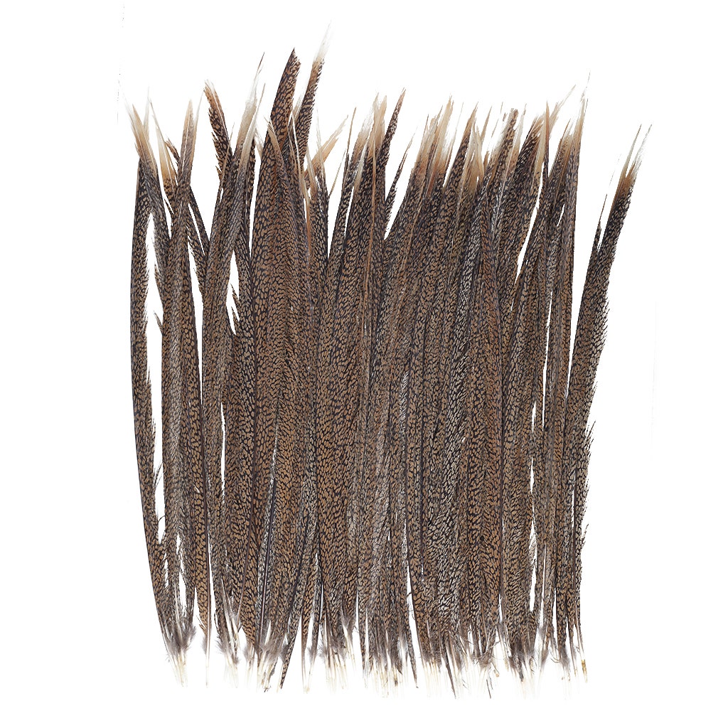 Natural Golden Pheasant Tail Center Feathers, 20 inches & up, 100 pieces, 1st Quality Feathers