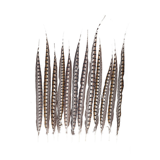 Lady Amherst Pheasant Tails - Natural - 20 - 30"