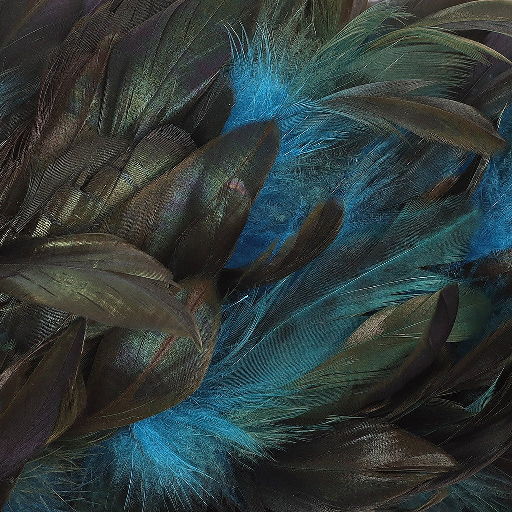 Rooster Schlappen Feather Boa 8-10"- Dark Turquoise