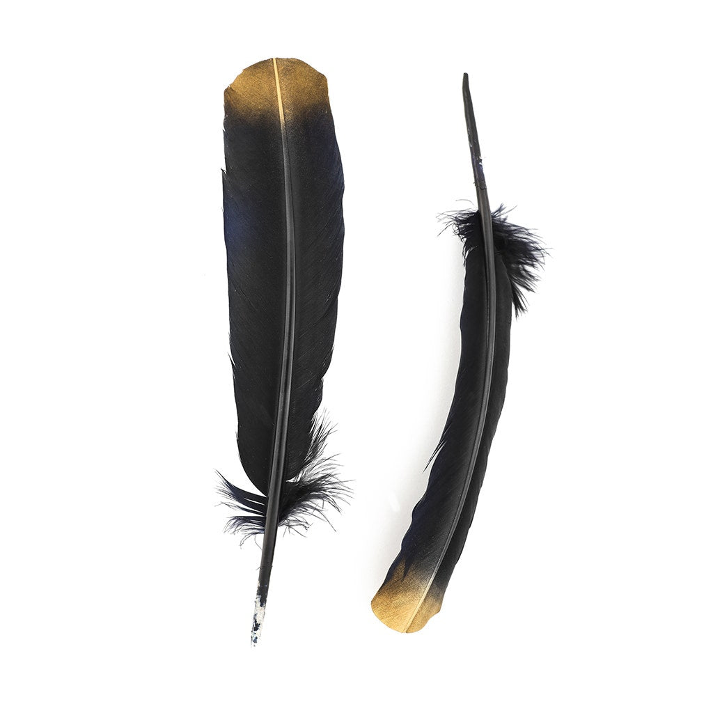 Turkey Quills Tipped Metallic - Black/Gold Lurex