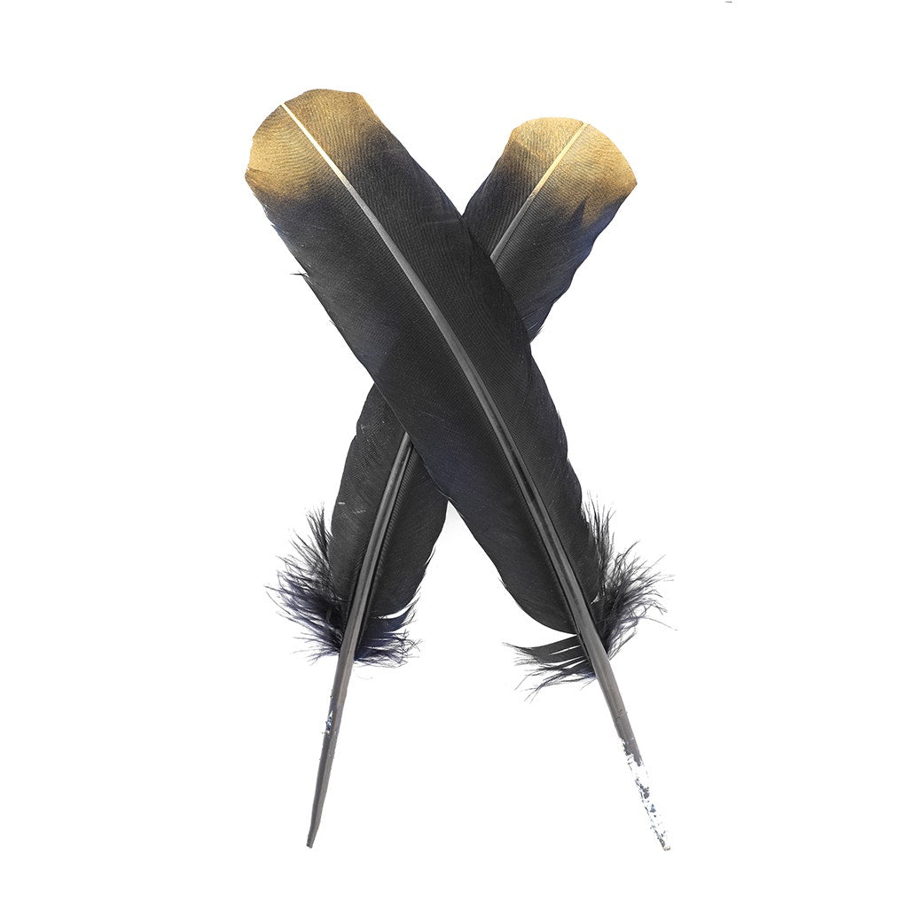 Turkey Quills Tipped Metallic - Black/Gold Lurex