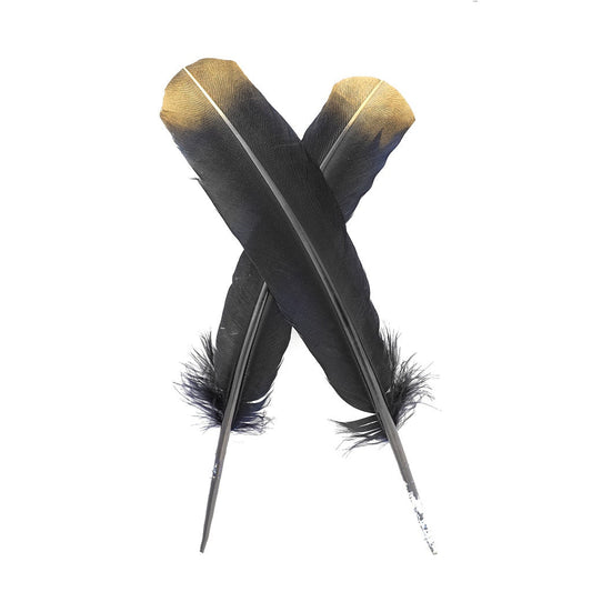 Turkey Quills Tipped Metallic - Black/Gold Lurex