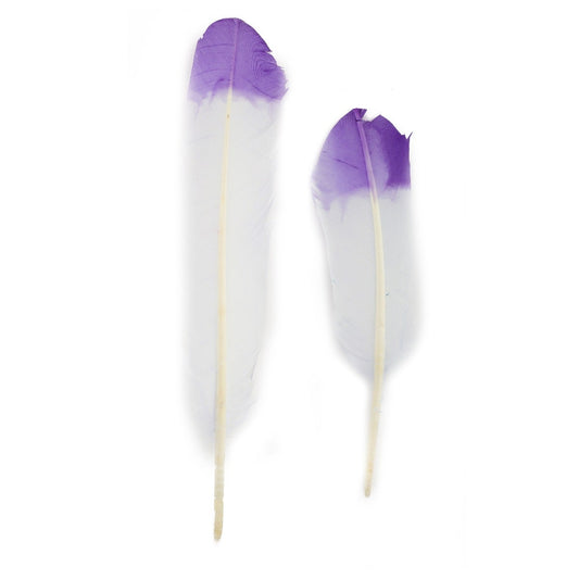 Turkey Quills Tipped - Violet/Regal