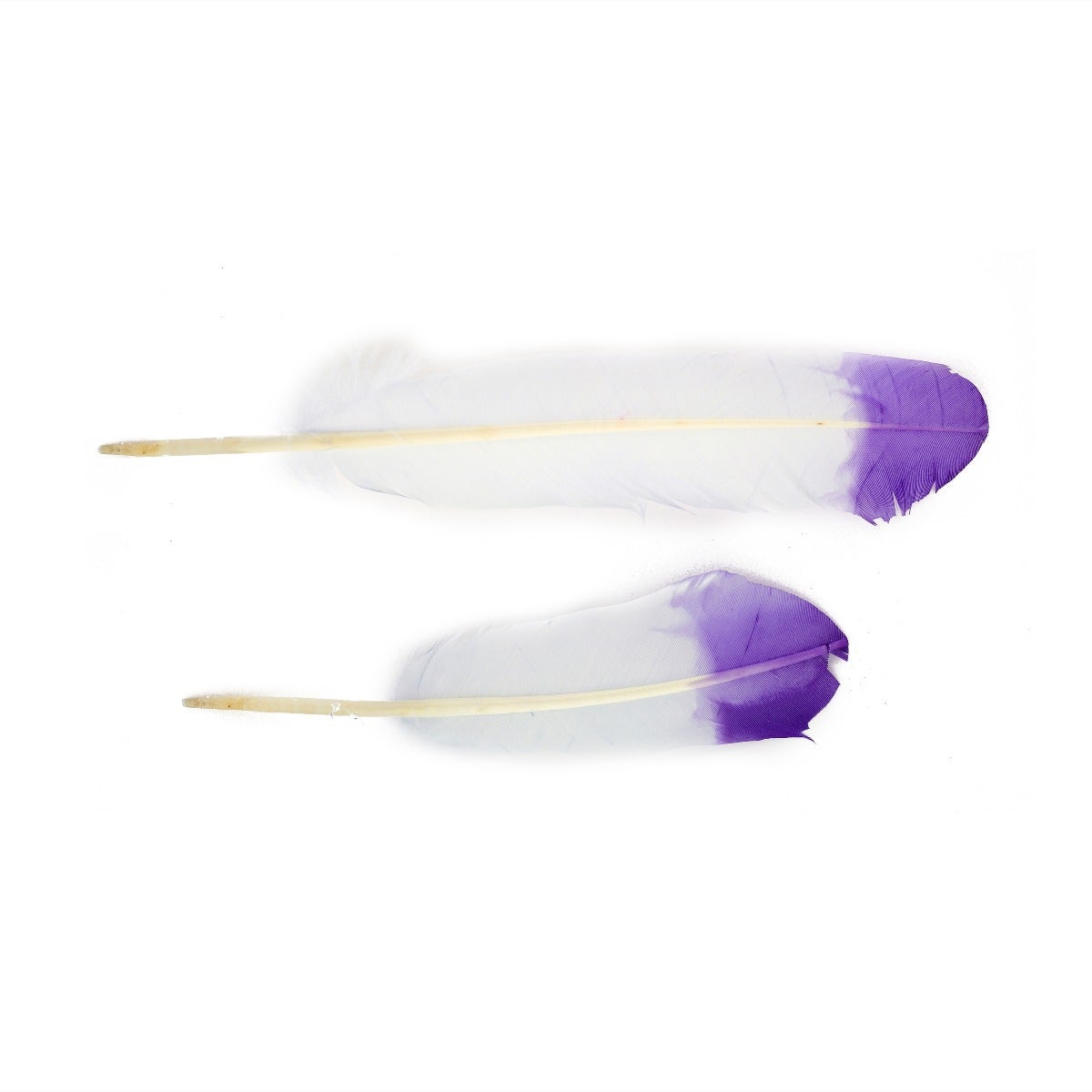 Turkey Quills Tipped - Violet/Regal