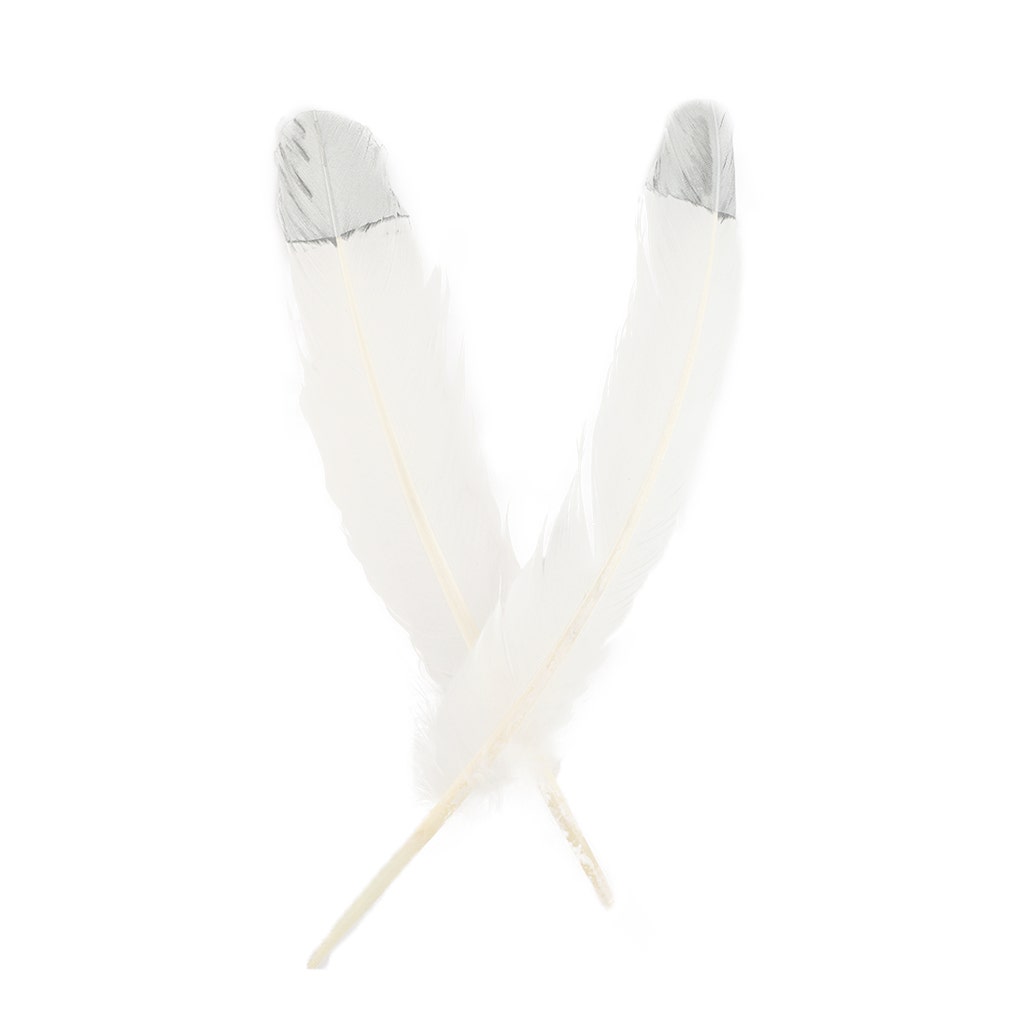 Turkey Quills Tipped Metallic - White/Silver Lurex