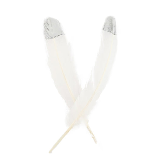Turkey Quills Tipped Metallic - White/Silver Lurex
