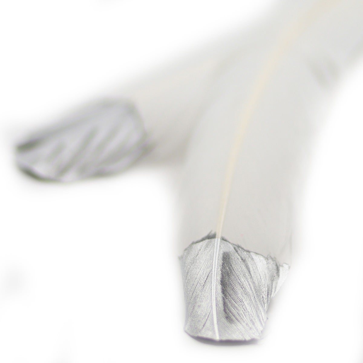 Turkey Quills Tipped Metallic - White/Silver Lurex