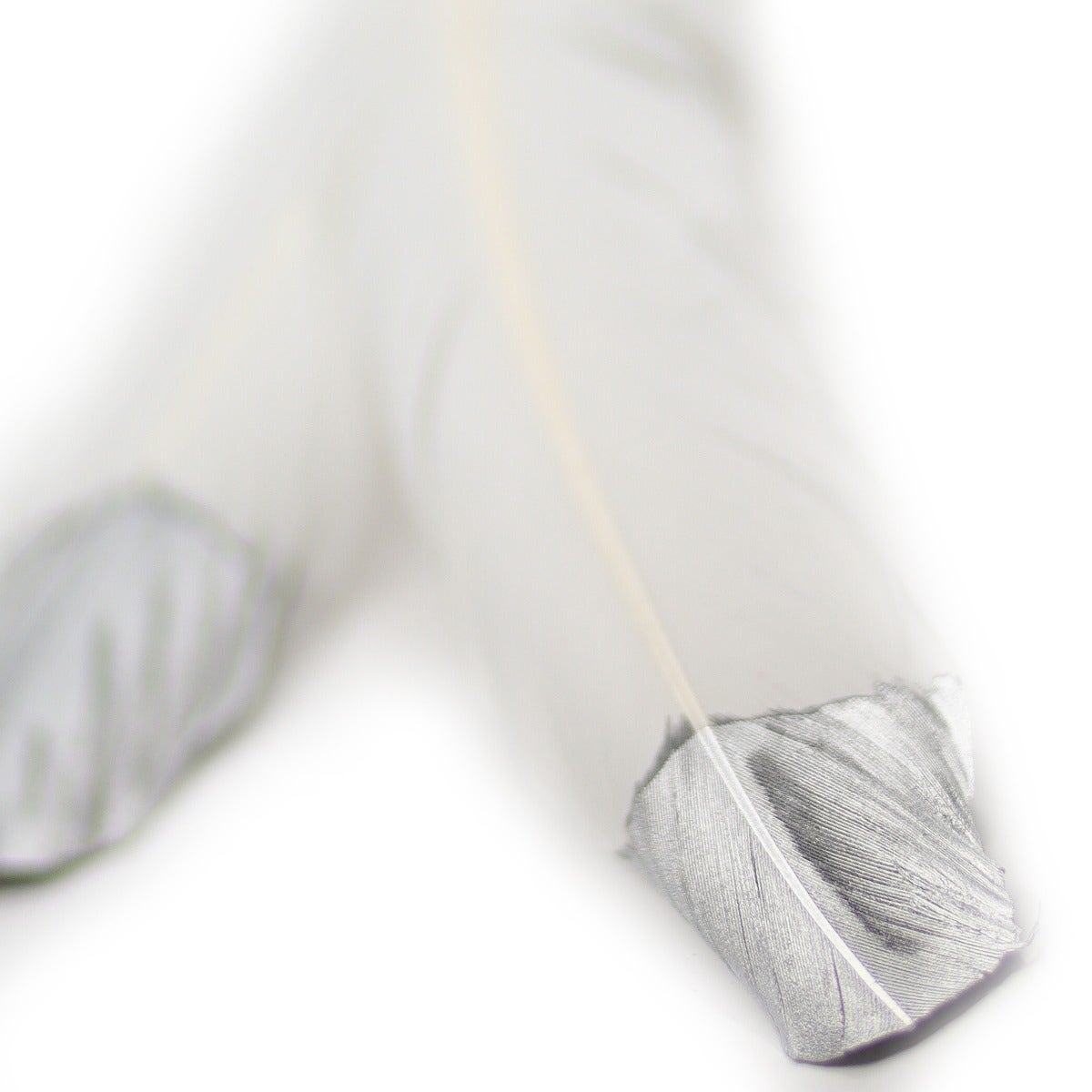Turkey Quills Tipped Metallic - White/Silver Lurex