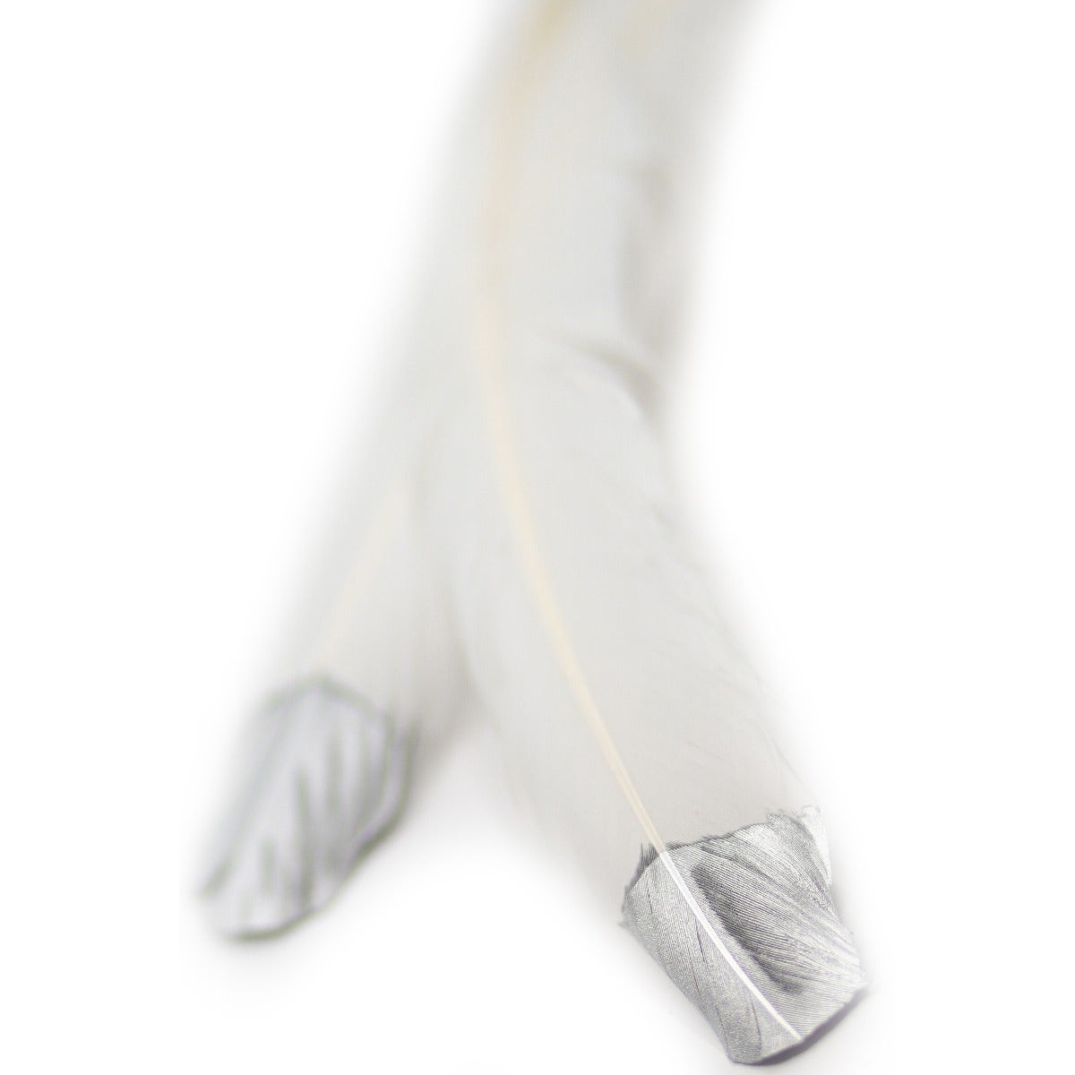 Turkey Quills Tipped Metallic - White/Silver Lurex