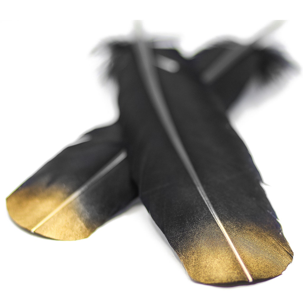 Turkey Quills Tipped Metallic - Black/Gold Lurex