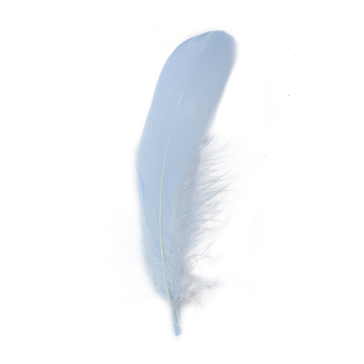 Goose Pallet Feathers 6-8" - 12 pc - Light Blue