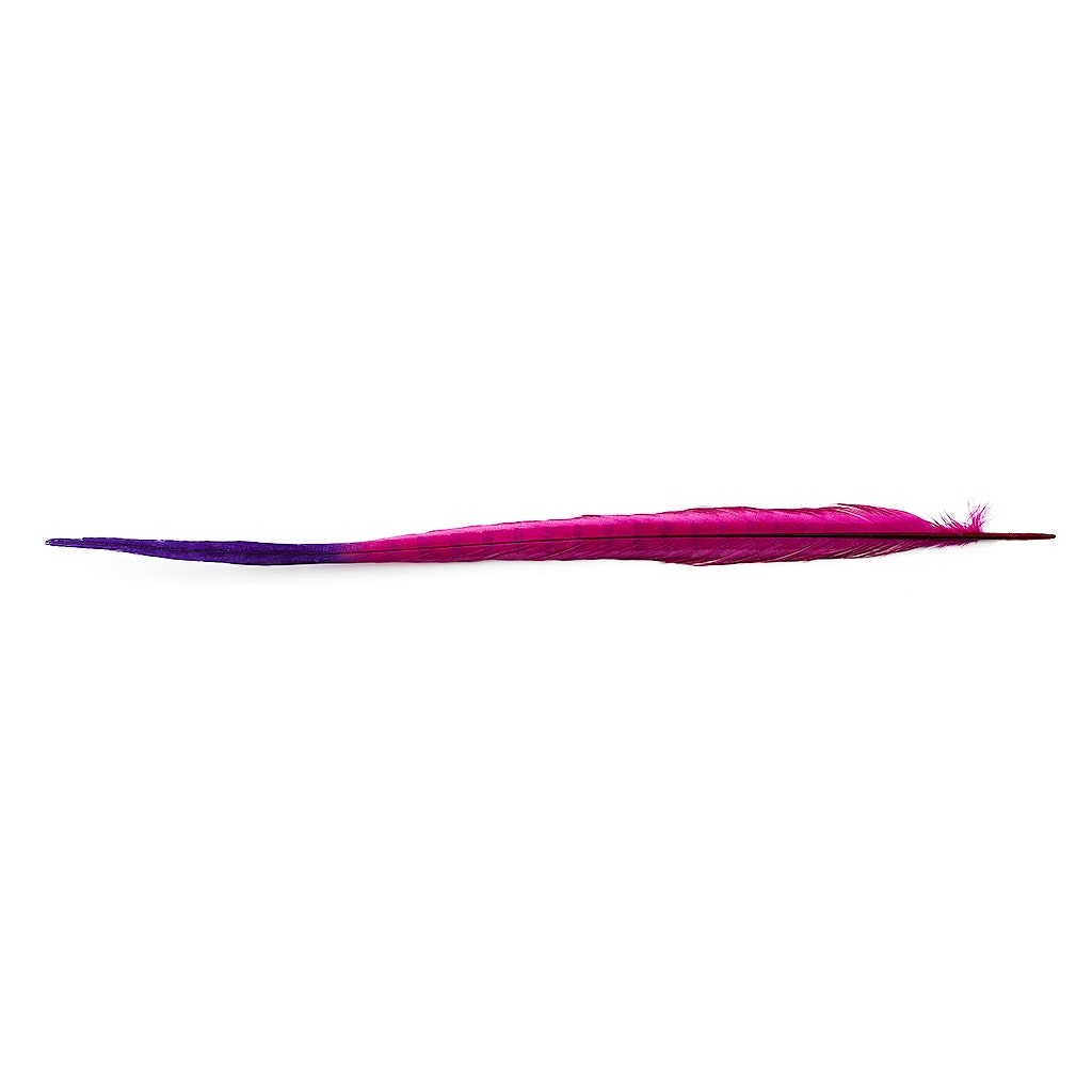 Ringneck Pheasant Tails Bleached/Dyed & Tipped Very Berry/Regal, 5 pieces, 20-24 inch long feathers