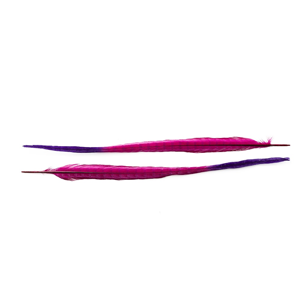 Ringneck Pheasant Tails Bleached/Dyed & Tipped Very Berry/Regal, 5 pieces, 20-24 inch long feathers