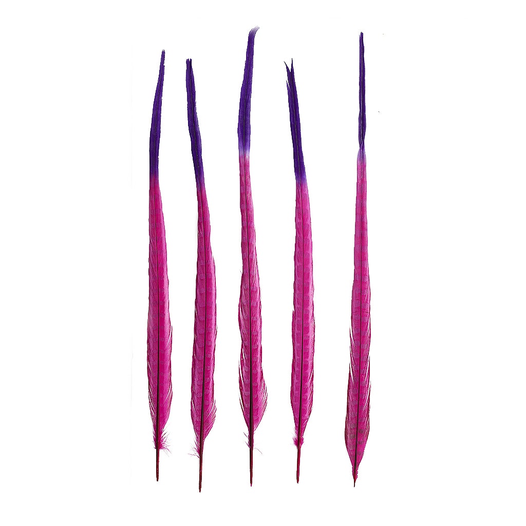 Ringneck Pheasant Tails Bleached/Dyed & Tipped Very Berry/Regal, 5 pieces, 20-24 inch long feathers