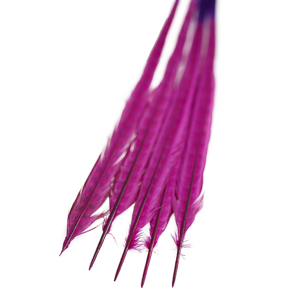 Ringneck Pheasant Tails Bleached/Dyed & Tipped Very Berry/Regal, 5 pieces, 20-24 inch long feathers