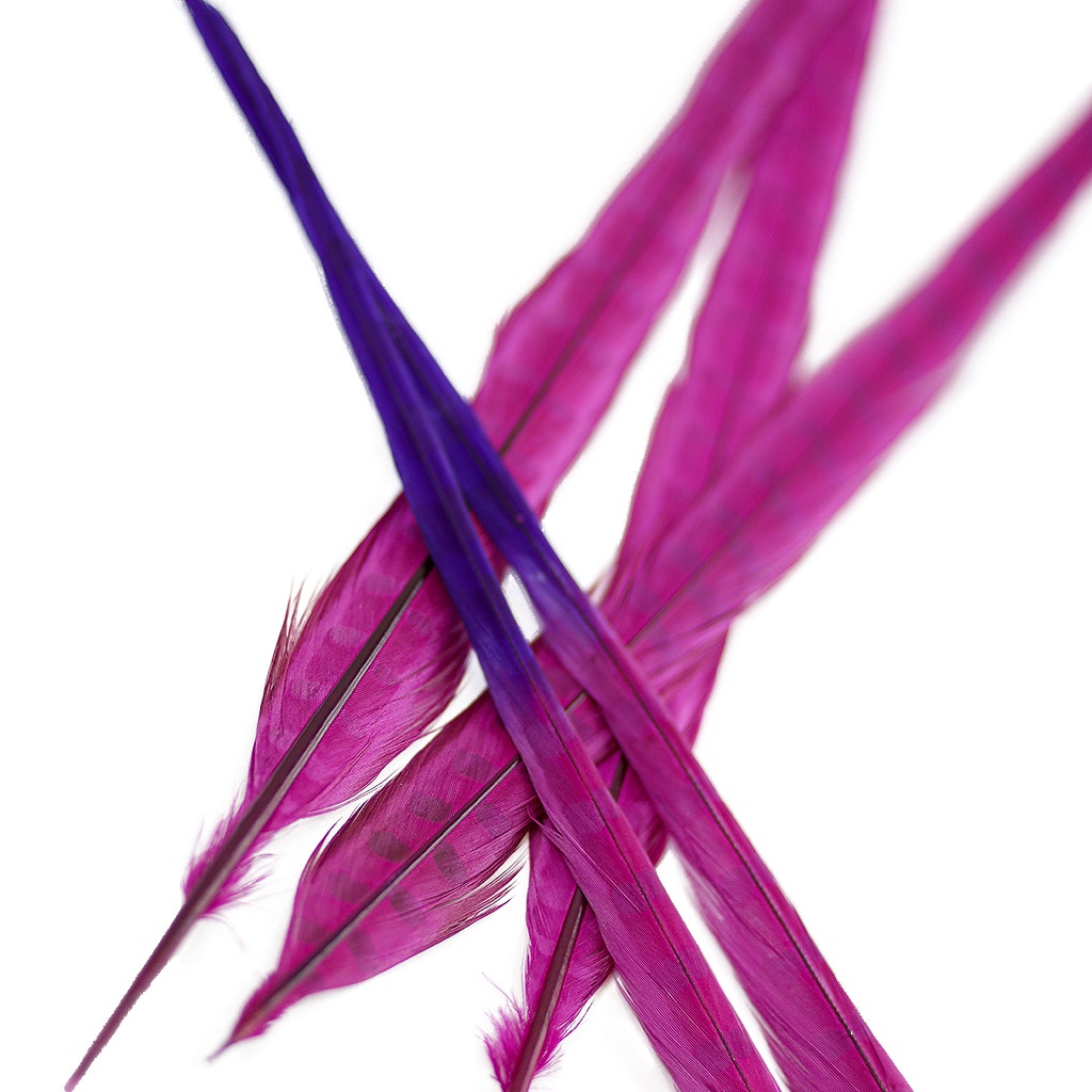 Ringneck Pheasant Tails Bleached/Dyed & Tipped Very Berry/Regal, 5 pieces, 20-24 inch long feathers