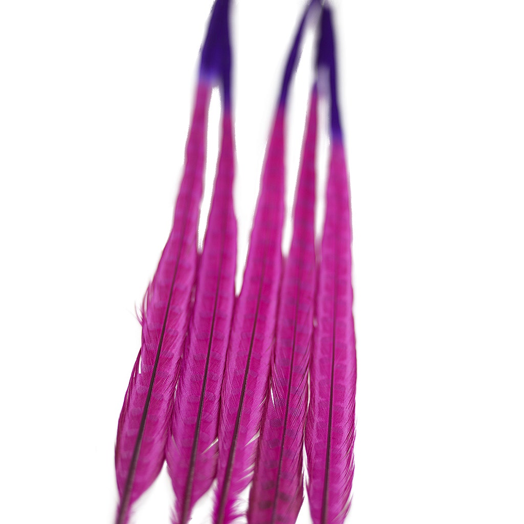Ringneck Pheasant Tails Bleached/Dyed & Tipped Very Berry/Regal, 5 pieces, 20-24 inch long feathers