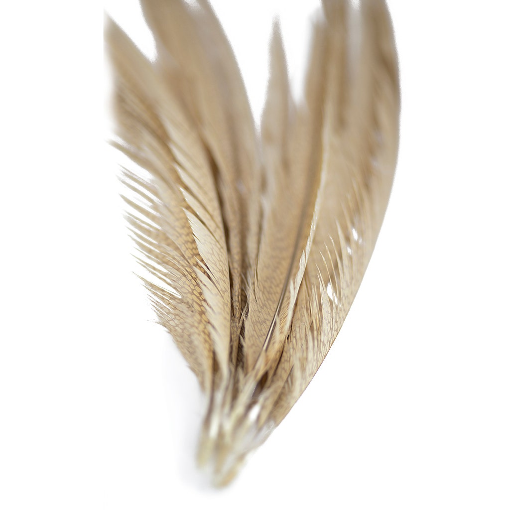 Golden Pheasant Center Tails Dyed Beige