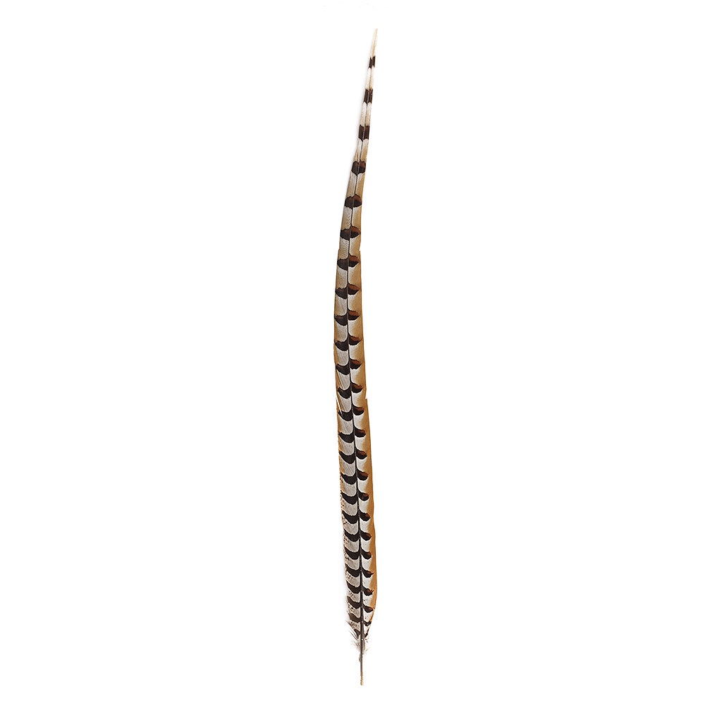 Venery Pheasant Tails - Natural - 30 - 40"