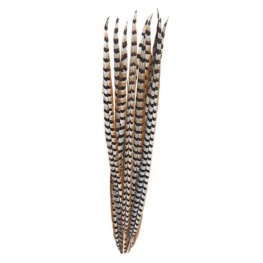 Venery Pheasant Tails - Natural - 30 - 40"