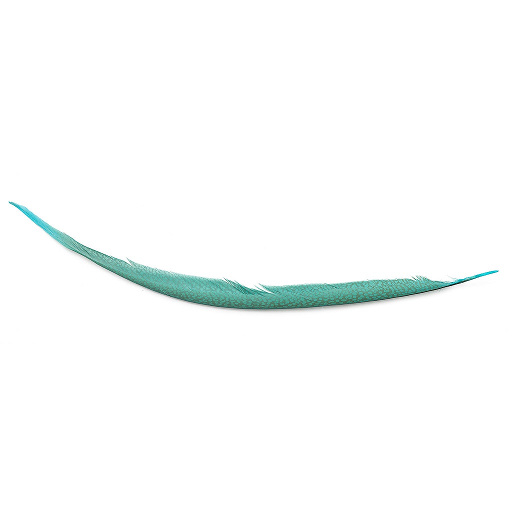 Golden Pheasant Center Tails Dyed Silver Dunn Blue